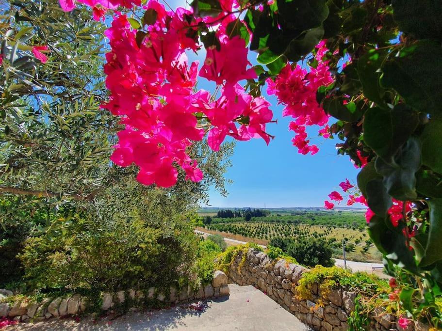Villa Calma Noto Buitenkant foto